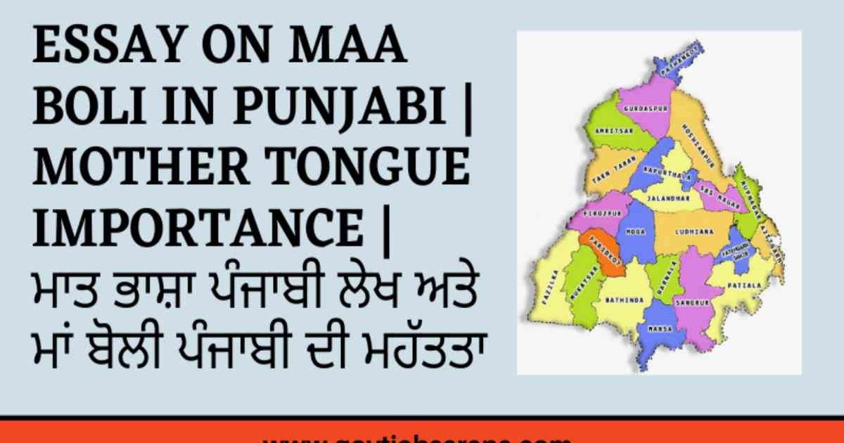 essay on importance of punjabi language